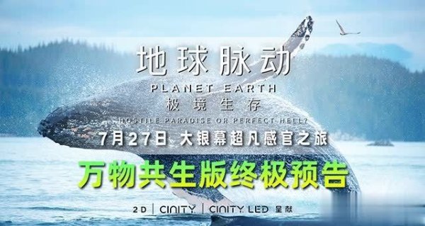 世博体育(中国)官方网站离别呈现了当然之声、海洋之景、动物之行三种主题-世博体育官网2024安卓最新版_手机app官方版免费安装下载