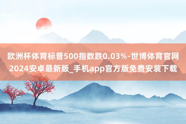 欧洲杯体育标普500指数跌0.03%-世博体育官网2024安卓最新版_手机app官方版免费安装下载