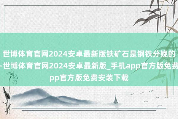 世博体育官网2024安卓最新版铁矿石是钢铁分娩的关节原料-世博体育官网2024安卓最新版_手机app官方版免费安装下载