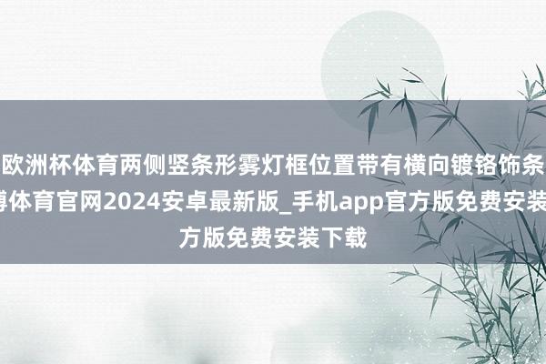 欧洲杯体育两侧竖条形雾灯框位置带有横向镀铬饰条-世博体育官网2024安卓最新版_手机app官方版免费安装下载